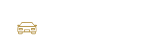 VIP-transportation-services