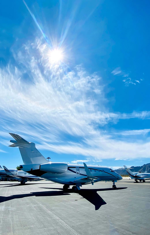 Enjoying blue skies